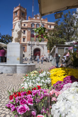 Cadiz flower market (Plaza de las Flores aka Plaza de Topete), with statue and main Post Office behind, take in Cadiz, Andalusia, Spain