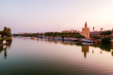 Fototapeta premium View of La Torre de Oro Tower of Gold in Seville, Spain in the morning
