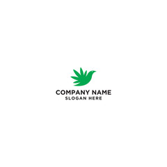 green birds logo design template - vector