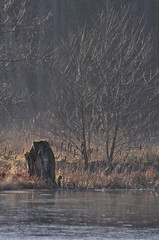 Rzeka © Rafa
