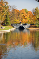 Fototapeta premium Autumn landscape of the lake surrounded by a city Park.
