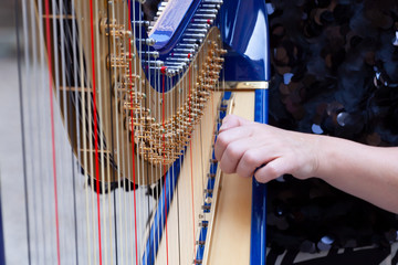 Attività di regolazione dell'arpa prima di un concerto n.3