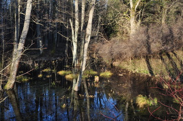 Obraz premium Wiosenna powódź