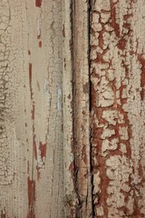 Background of old broken wooden board with cracked layer of beige oil paint.