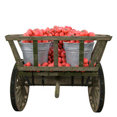 Ripe tomatoes in a wooden cart