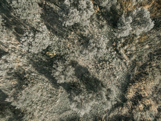 aerial photography, textures and landscapes