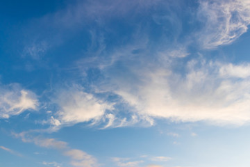 Naklejka na ściany i meble Beautiful feather clouds background in the dark blue sky