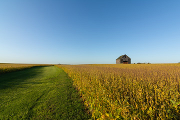 Midwest farmland © EJRodriquez