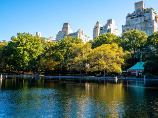 view of buildings surrounding Central Park in New York City in the fall