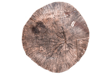 Old wooden tree trunk showing growth rings and pattern surface. Wood texture isolated on white background