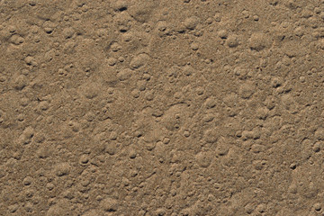 Sand texture with traces of rain drops. Dry rough surface texture with small round craters. Abstract background