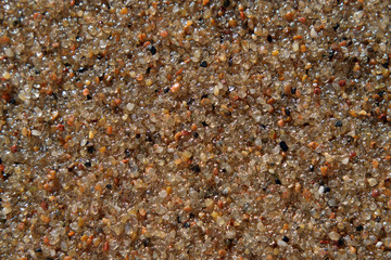 Wet sand grains texture background. Closeup. Top view