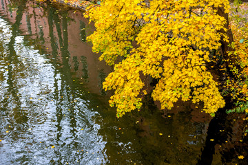 Herbstliche Wasserspiegelung in Bamberg am Ludwig-Donau-Main-Kanal