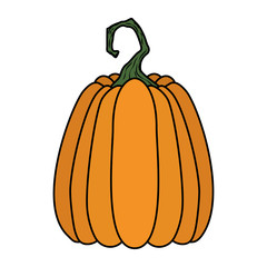 halloween pumpkin fruit seasonal icon