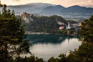 Fototapeta na wymiar Famous touristic destination - Bled castle by Bled lake in Slovenia, central Europe