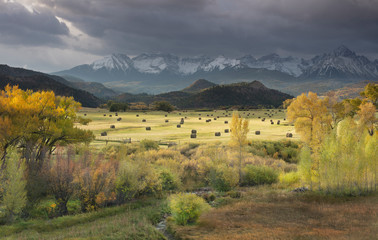 Autumn colors of Fall view of hay bales and trees in fields and aspen trees with San Juan Mountain Range of Dallas Divide just outside of Ridgway Colorado America