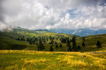 High plateau of Velika Planina, land of pastures and alpine huts high in the mountains, Slovenian Alps
