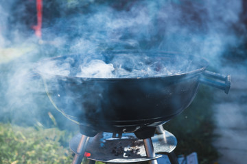 barbecue on the green grass, the fire and smoke close up