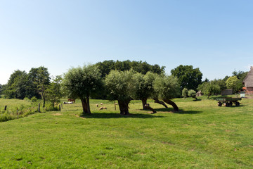Countryside of Mecklenburg-Vorpommern, Baltic Sea, Germany