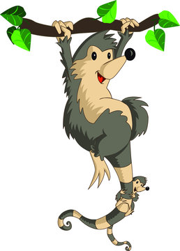 Tlacuache, rodent, marsupial,cute cartoon.