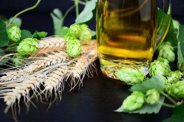 Bier, Hopfen