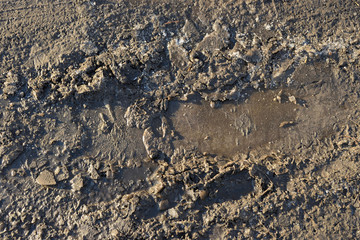 Fototapeta na wymiar Frozen mud with broken ice pieces. Closeup