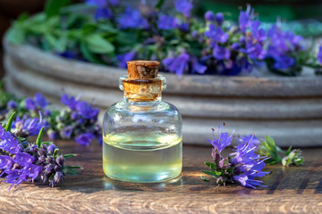 A bottle of essential oil with fresh blooming hyssop