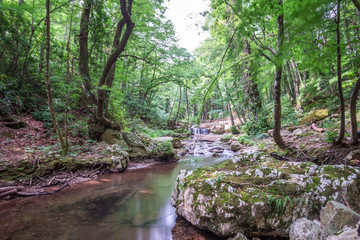 Sergen, double welding waterfall, Vize Kirklareli (Turkish Sergen Cifte Kaynaklar Selalesi)