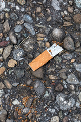 Pollution by cigarette stub thrown on the ground