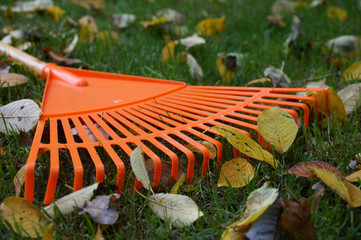 Autumn cleaning works. Closeup on leaves and rake.