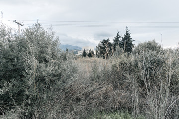 Walking in the woods.