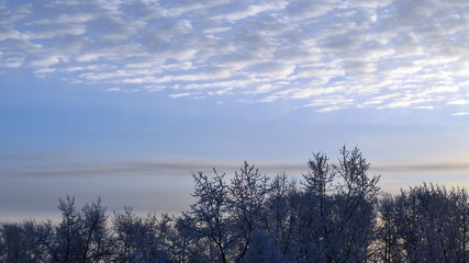 Quiet cool winter scene. White and grey clouds, blue sky and tops of trees covered by snow. Copy space