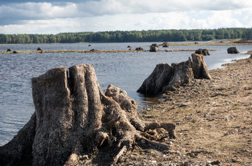 strain in the river bed