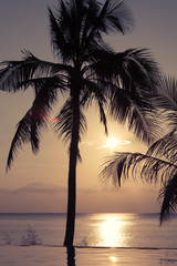 Fototapeta na wymiar Couché de soleil avec un palmier sur une plage calme
