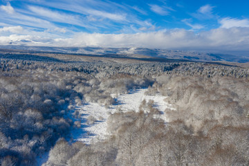 Beautiful winter forest. Trees covered with hoarfrost and snow. Aerial shoot