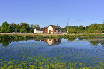 Obraz premium Maison et reflets sur le canal de la Sauldre à Argent-sur-Sauldre (18410), département du Cher en région Centre-Val-de-Loire, France