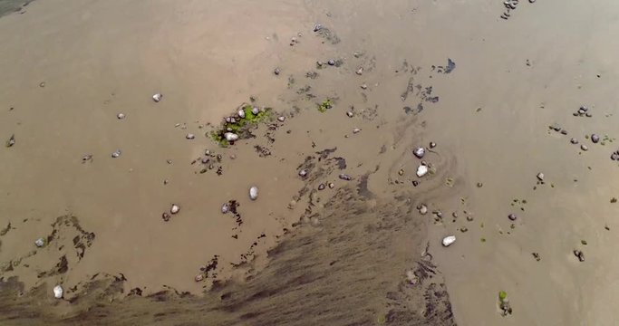 Aerial, Cyanobacteria On Ocean Surface