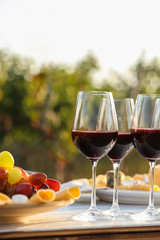 Red wine and snacks served for picnic on white wooden table outdoors