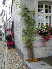 Fototapeta na wymiar Blühende Altstadt von Aachen Kornelimünster