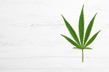 Leaf of medical hemp on white wooden background, top view. Space for text