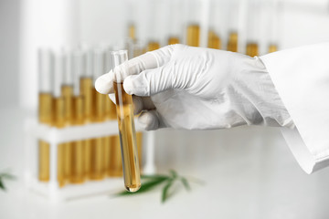 Doctor holding test tube with urine sample for hemp analysis, closeup