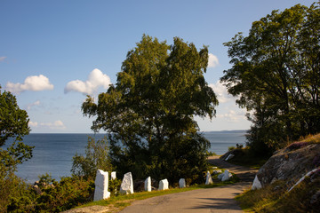 Trees and sea road, sailboat, Sandvig, Bornholm