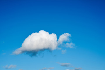 A cloud looks like a turtle.