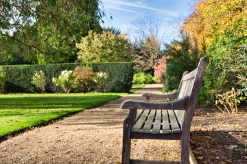 bench in the garden in autumn