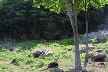 Animali all'Omega Park