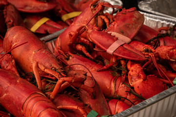 Hot Steamed Red Lobster