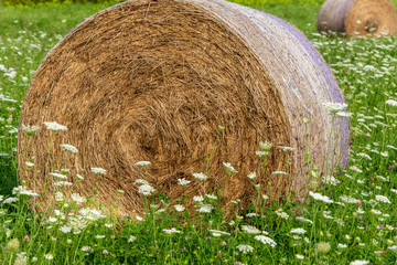 Rolled Haybale