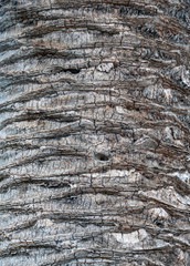 Abstract Texture Background 