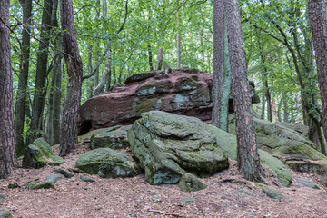 Big rocks in the middle of the green forest