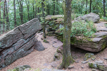 Big rocks in the middle of the green forest